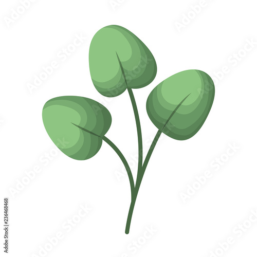 branch with leafs isolated icon