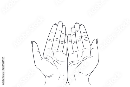 Sketch illustration - women's hands.
