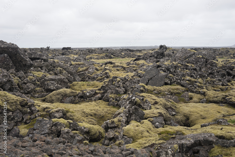 Lavafeld bei der „blauen Lagune“ (Bláa Lónið) - Island 