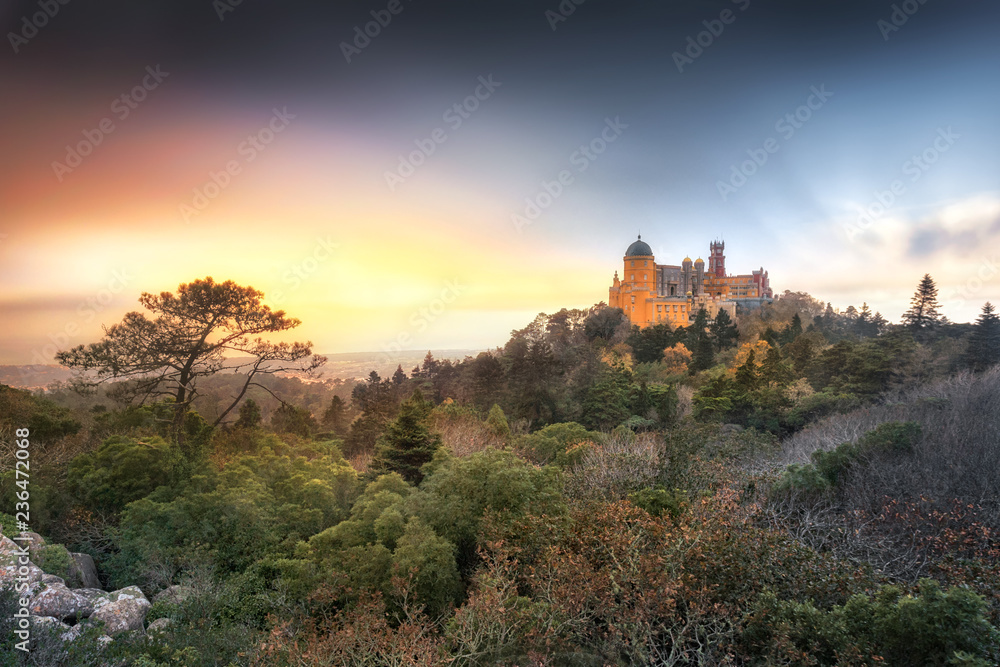 Sunset in mystic forest in Sintra, Castle of dreams