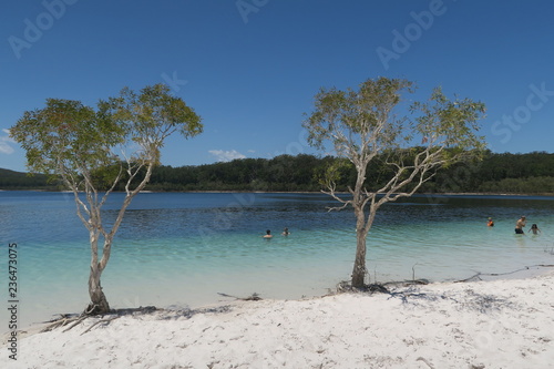 Fraser Island - See mit zwei Bäumen © Claudia