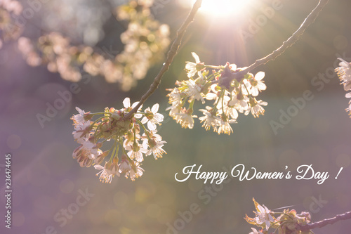 Womens day card. Branches of a blossoming tree in the sunlight on bokeh background