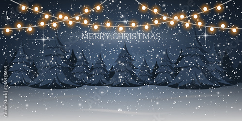 Snowy night, woodland landscape, coniferous forest vector illustration. Christmas and New Year holidays.