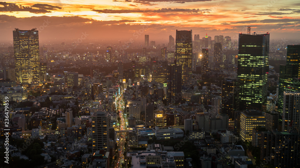 Tokyo skyline during sunset as seen from the Tokyo Tower, Japan
