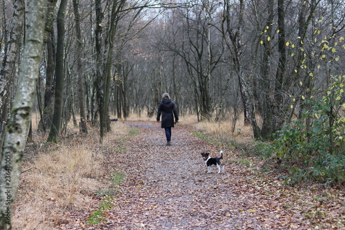 Frau wald herbst hund laub