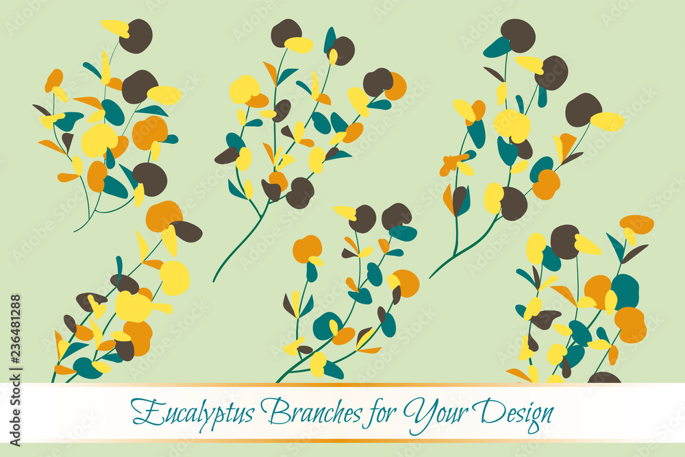 Eucalyptus Vector. Decorative Vector Leaves and Branches. Elegant Foliage. Beautiful Floral Element for Wedding Design. Tropical Plants. Flowers Isolated and Eucalyptus Vector for Card, Invitation.