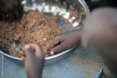 Obraz na płótnie kids eating brown rice and fish in Africa - closeup w salonie