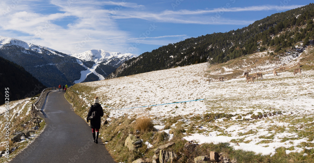 Paisaje panorámico del Valle d'Incles en Andorra, con una turista abrigada,  con gorro y plumífero, caminando por la carretera fría y nieve alrededor,  en el invierno de 2018 Stock Photo | Adobe