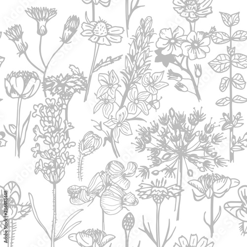 seamless floral pattern with wild flower © Mykyta