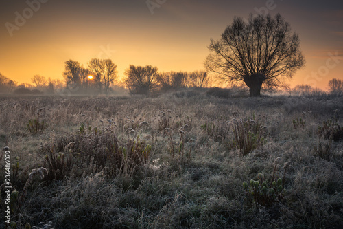 Sunrise over the meadow on a frosty morning