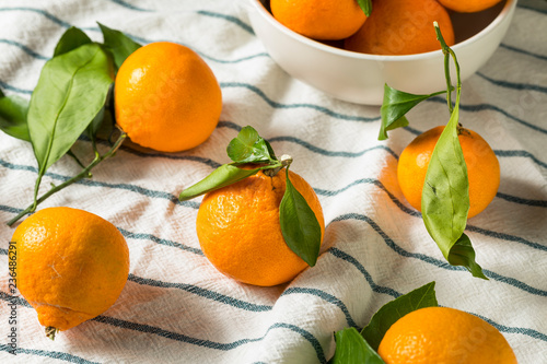 Raw Organic Mandarin Oranges
