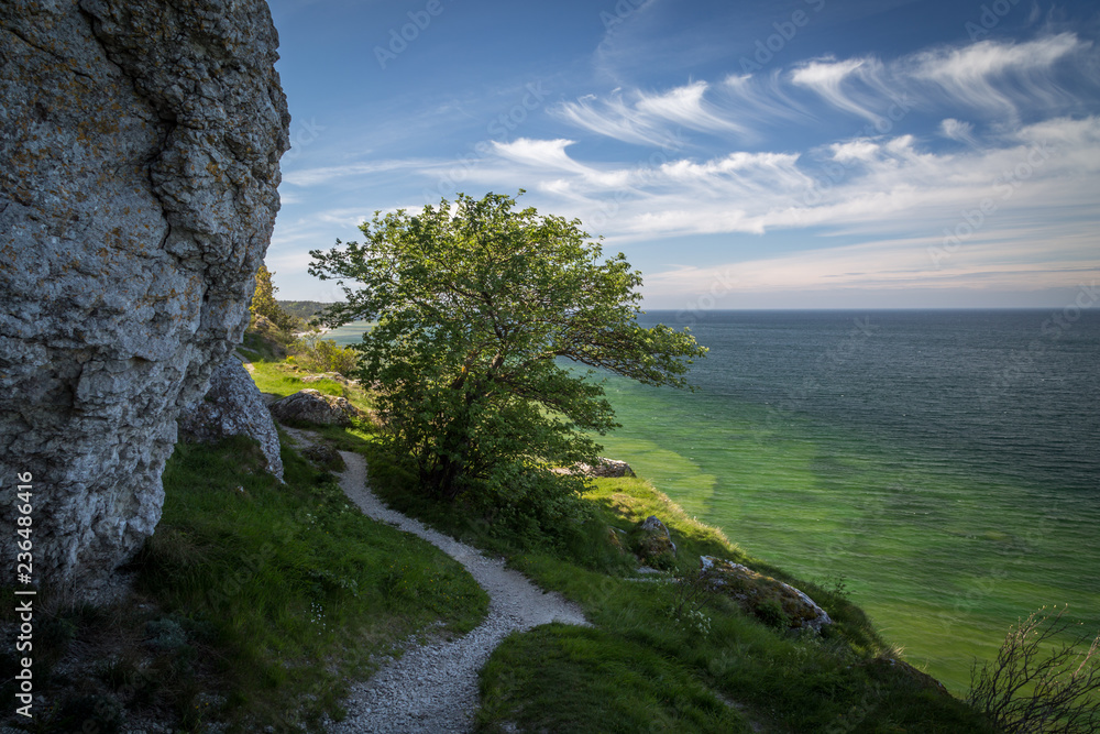 Path along the limestone cliffs above the crystal clear water of the west coast of Gotland, Sweden.