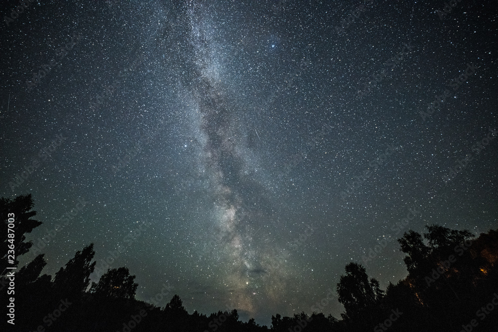 Scenic starry milky way in dark night forest Scenic starry milky way in dark night forest