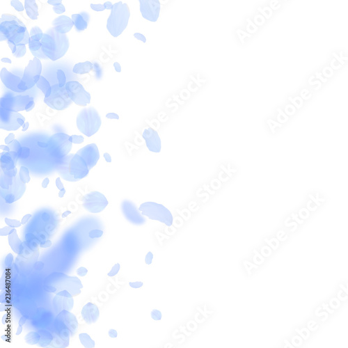 Dark blue flower petals falling down. Powerful rom