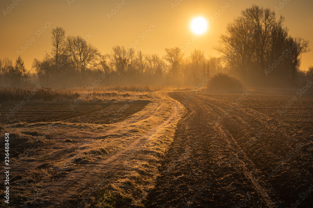 Fototapeta premium Landscape with road on a frosty morning