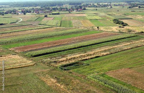 Aerial view of meadows and fields in Nothern Croatia in summertime  Zdencina  Croatia