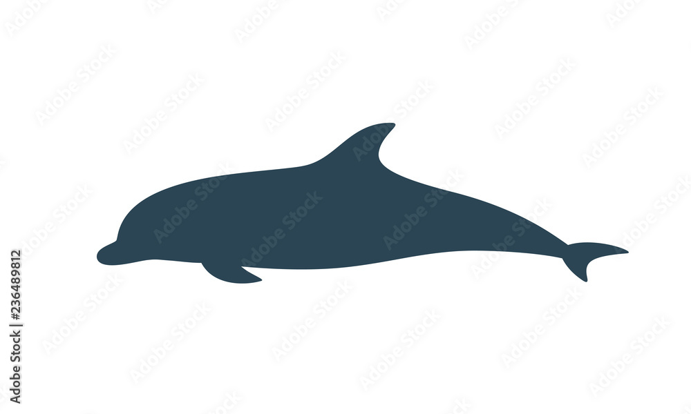 Dolphin silhouette. Isolated dolphin on white background