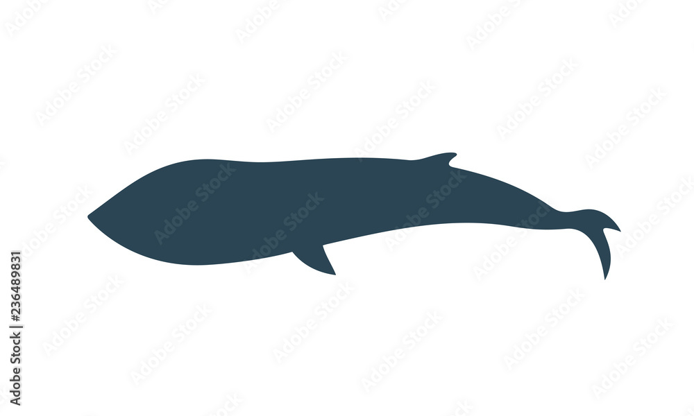 Fototapeta premium Whale silhouette. Isolated whale on white background