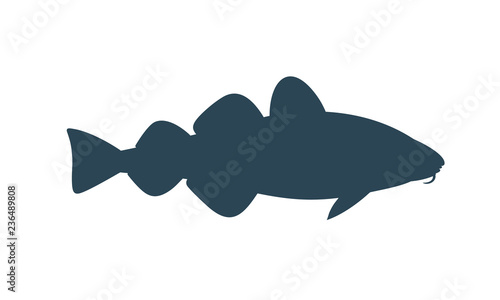Atlantic cod silhouette.  Isolated cod on white background