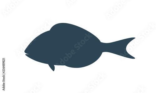 Dorado Fish silhouette. Isolated dorado fish on white background