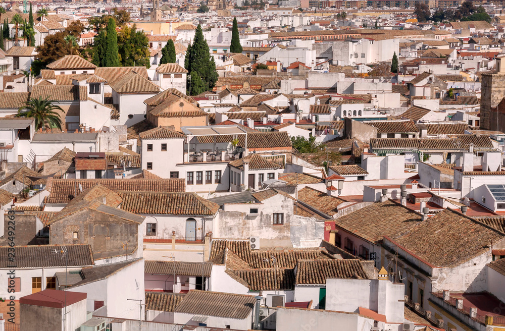 Aerial view on cityscape of Cordoba with white houses and tile roofs
