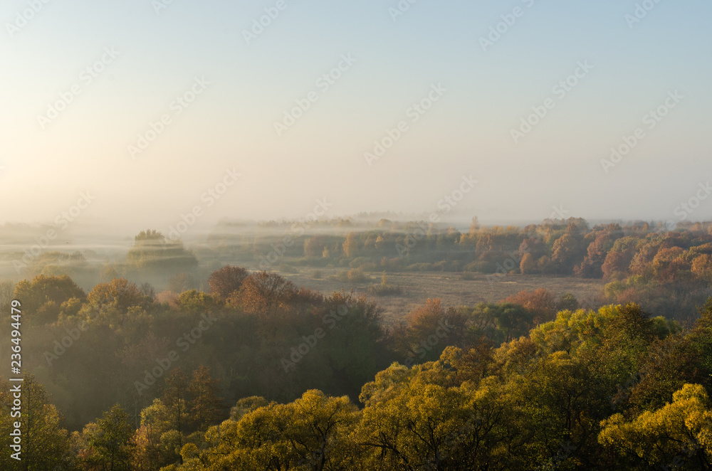 Mist over the autumn forest at sunrise