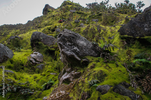 Ancient gloomy rocks covered with bright green moss