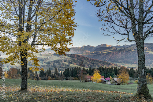 autumnal atmosphere in the ...