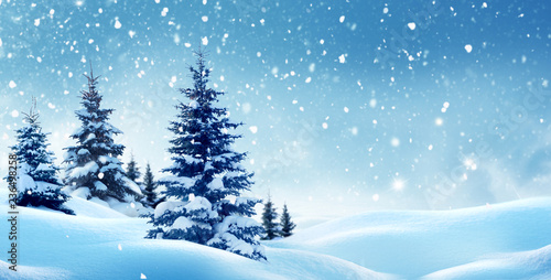 Christmas background with snow.Winter night landscape. Happy new year greeting card with copy-space. © Lilya