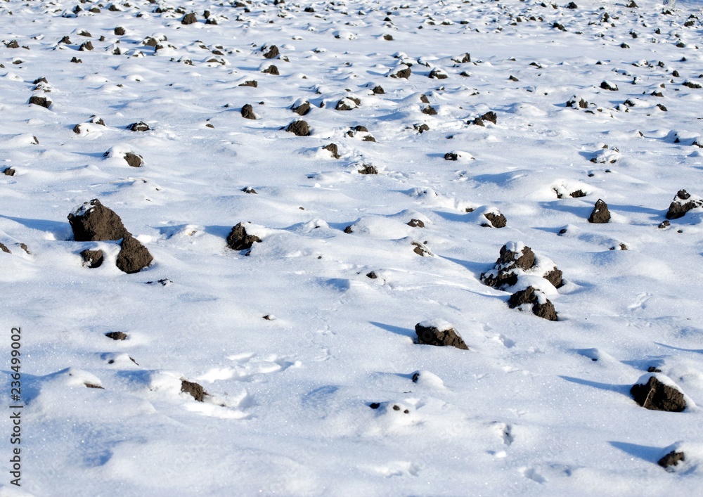 Obraz premium Winter arable land under a snowy white fur coat, plowed land