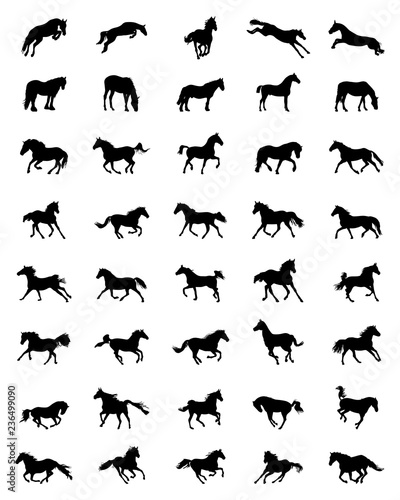 Black silhouettes of horses on a white background © SilhouetteDesigner