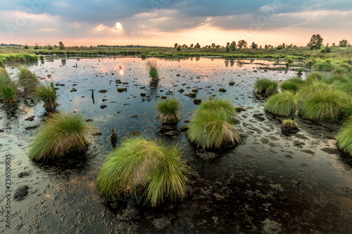 Bild auf Leinwand Hautes Fagnes Moor