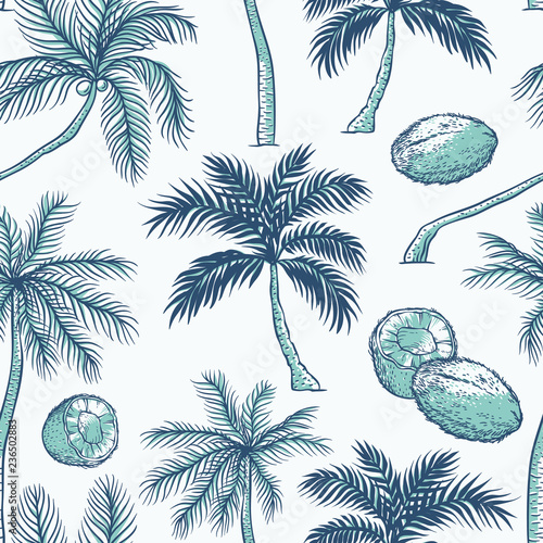 Vector seamless pattern of palm. Different kinds of tropical palmtrees and coconut. Contour sketch background monochrome turquoise isolated on white background. photo