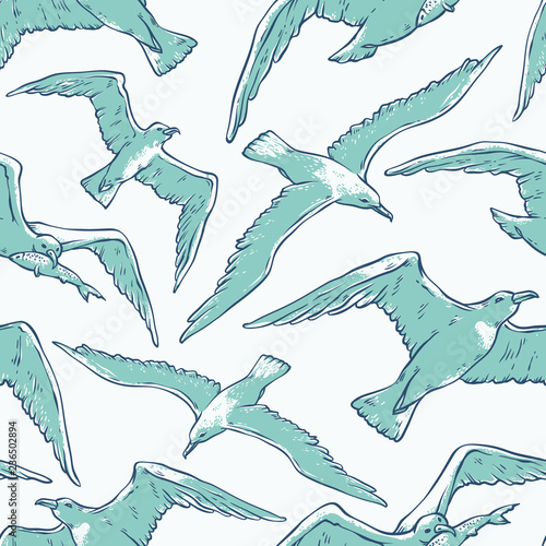 Vector seamless pattern flying seagulls. Bird gull angler outline sketch monochrome turquoise illustration isolated on white background for design on marine theme.