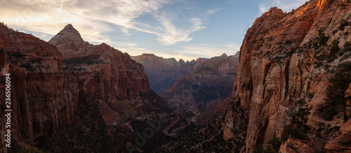 Beautiful aerial panoramic landscape view of a Canyon during a vibrant sunny sunset. Taken in Zion National Park, Utah, United States.