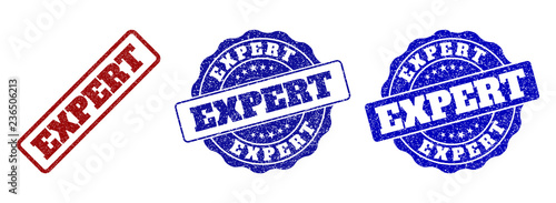 EXPERT grunge stamp seals in red and blue colors. Vector EXPERT overlays with grunge surface. Graphic elements are rounded rectangles, rosettes, circles and text tags.
