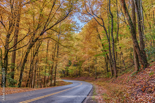 Curving Smoky Mountain Road With Autumn Colors