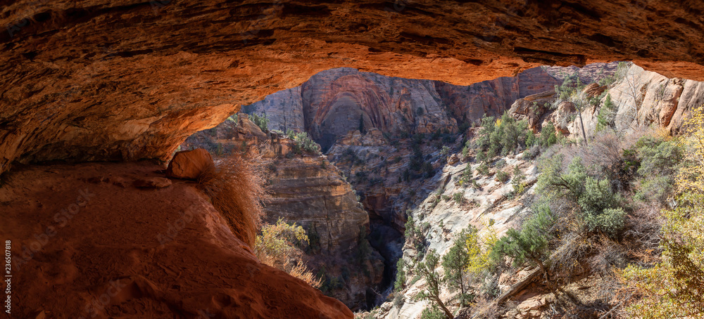 Panoramic View of a Hiking Trail in the Canyon during a sunny day. Taken in Zion National Park, Utah, United States.
