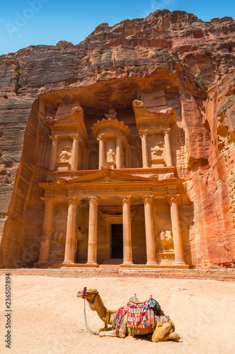 Camel used by local guides for tourists entertainment and transport in front of the Treasury, a famous landmark in Petra, Jordan.