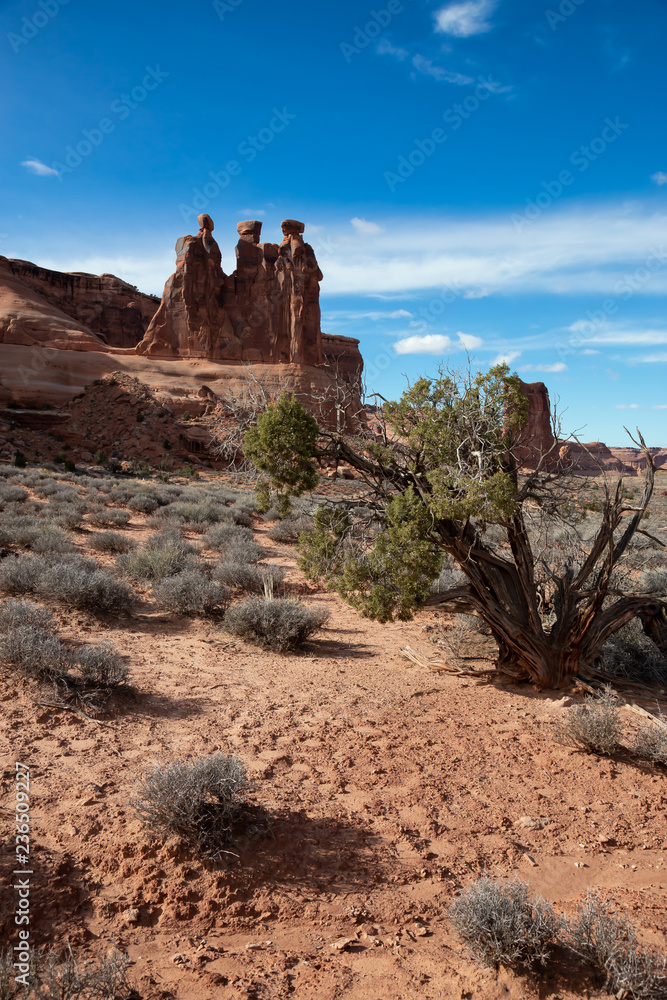 Landscape view of beautiful red rock canyon formations during a vibrant sunny day. Taken in Arches National Park, located near Moab, Utah, United States. Landscape view of beautiful red rock canyon formations during a vibrant sunny day. Taken in Arches National Park, located near Moab, Utah, United States.