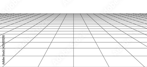 Perspective wireframe landscape