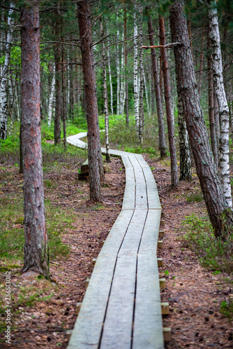 wooden plank footpath boardwalk in swamp area for recreation tourists