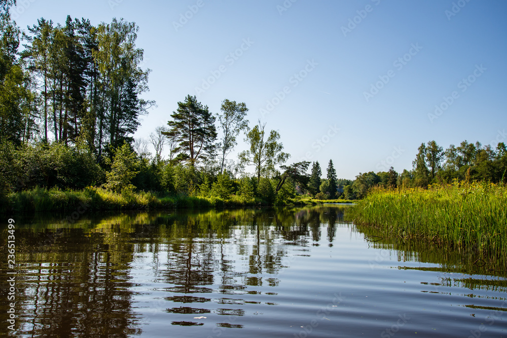 Obraz premium summer day on water in calm river enclosed in forests with sandstone cliffs and dry wood