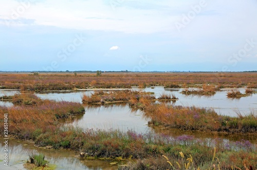 venetian lagoon near Venice in Northern Italy photo