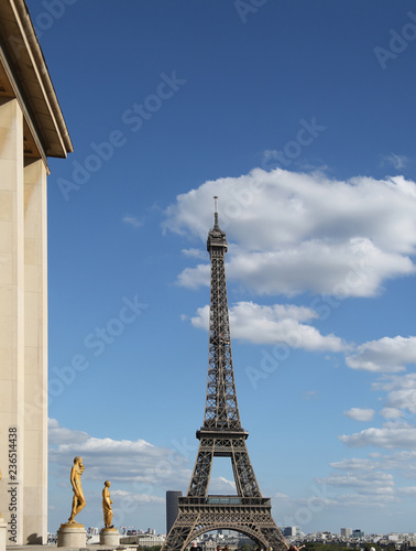 Fototapeta Naklejka Na Ścianę i Meble -  Paris Eiffel Tower seen from Hill of the Chaillot