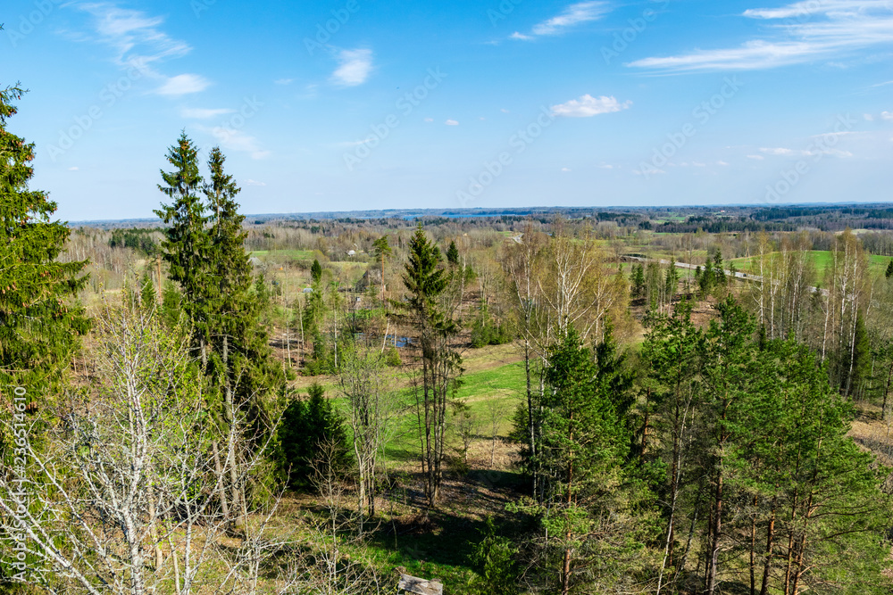Obraz premium plain simple countryside spring landscape with fresh green meadows and forests