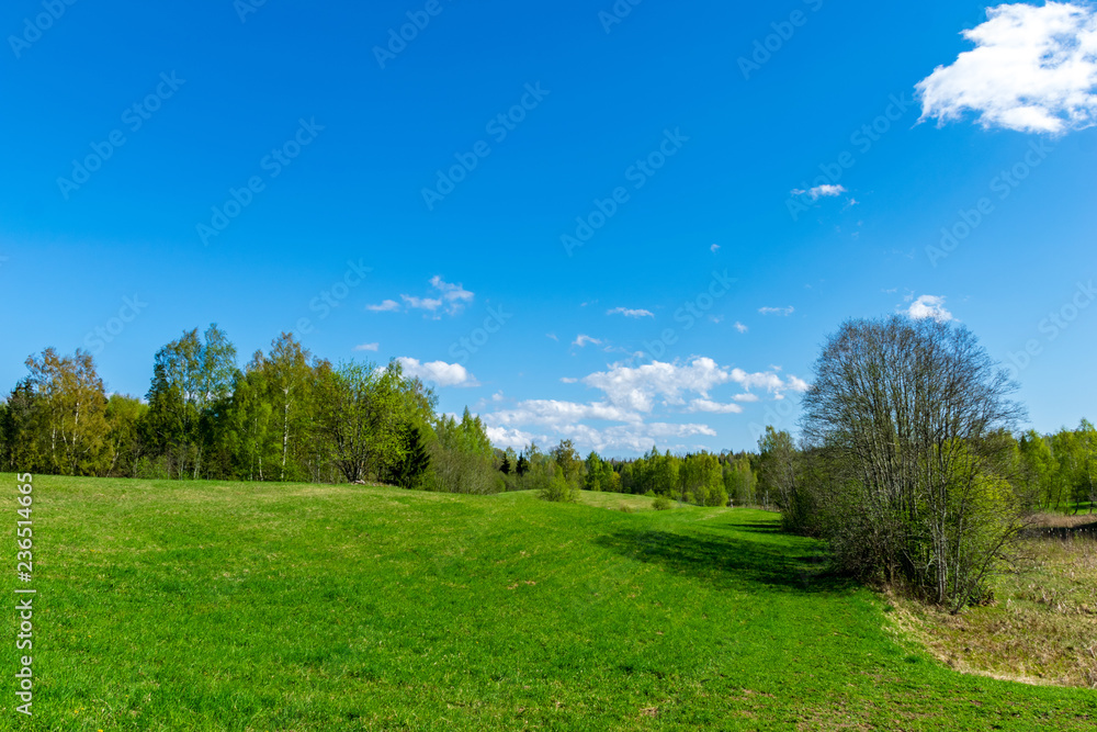 Fototapeta premium plain simple countryside spring landscape with fresh green meadows and forests