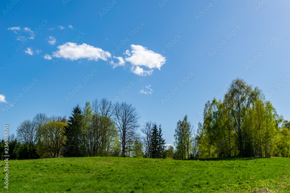 plain simple countryside spring landscape with fresh green meadows and forests plain simple countryside spring landscape with fresh green meadows and forests