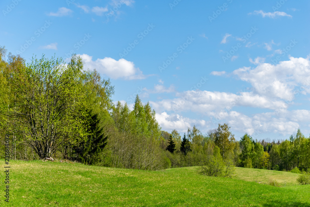 plain simple countryside spring landscape with fresh green meadows and forests plain simple countryside spring landscape with fresh green meadows and forests
