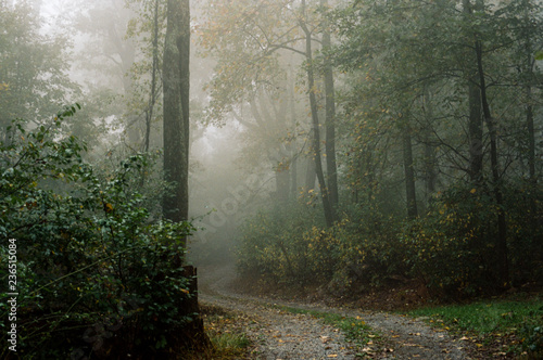 foggy road photo